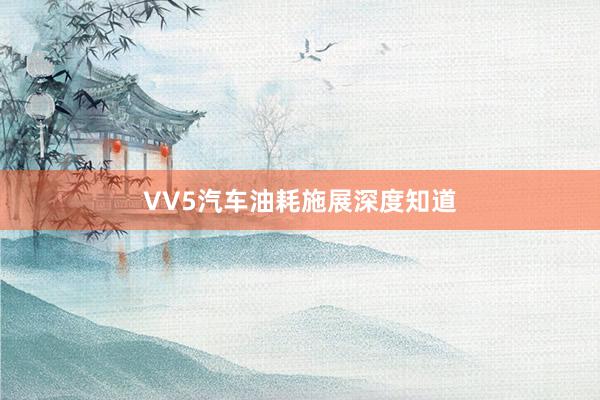 VV5汽车油耗施展深度知道