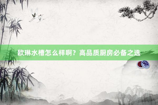 欧琳水槽怎么样啊？高品质厨房必备之选