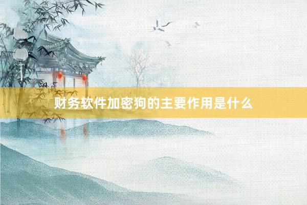 财务软件加密狗的主要作用是什么