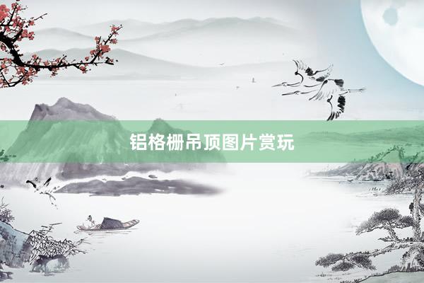 铝格栅吊顶图片赏玩
